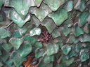 click me for full image
