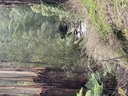 click me for full image