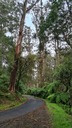 click me for full image