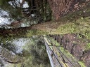 click me for full image