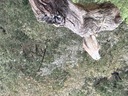 click me for full image