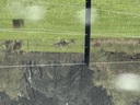 click me for full image