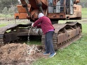 click me for full image