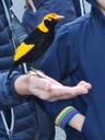 click me for full image