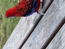 click me for full image