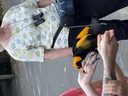 click me for full image