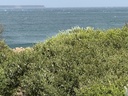 click me for full image