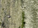 click me for full image