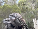 click me for full image