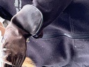 click me for full image