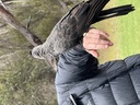 click me for full image