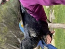 click me for full image