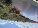 click me for full image
