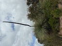 click me for full image