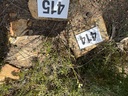 click me for full image