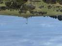 click me for full image