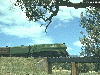 Loco 3801