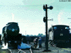 click me for full image