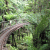 Driving Creek Railway