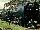 H class 4-8-4 Northerns